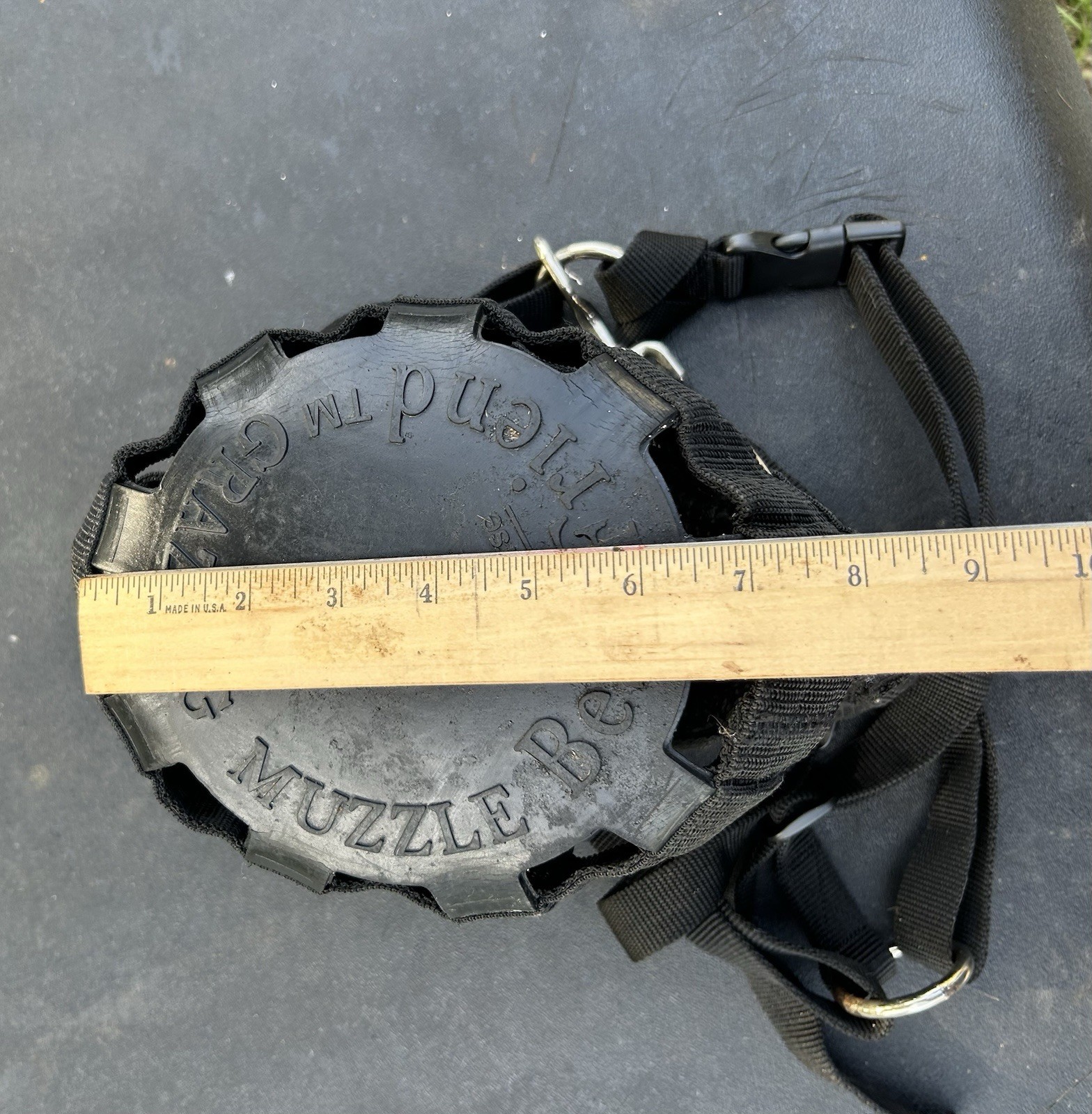 Best Friend Horse Equine Grazing Muzzle for Easy Breathe, Comfortable Nylon
