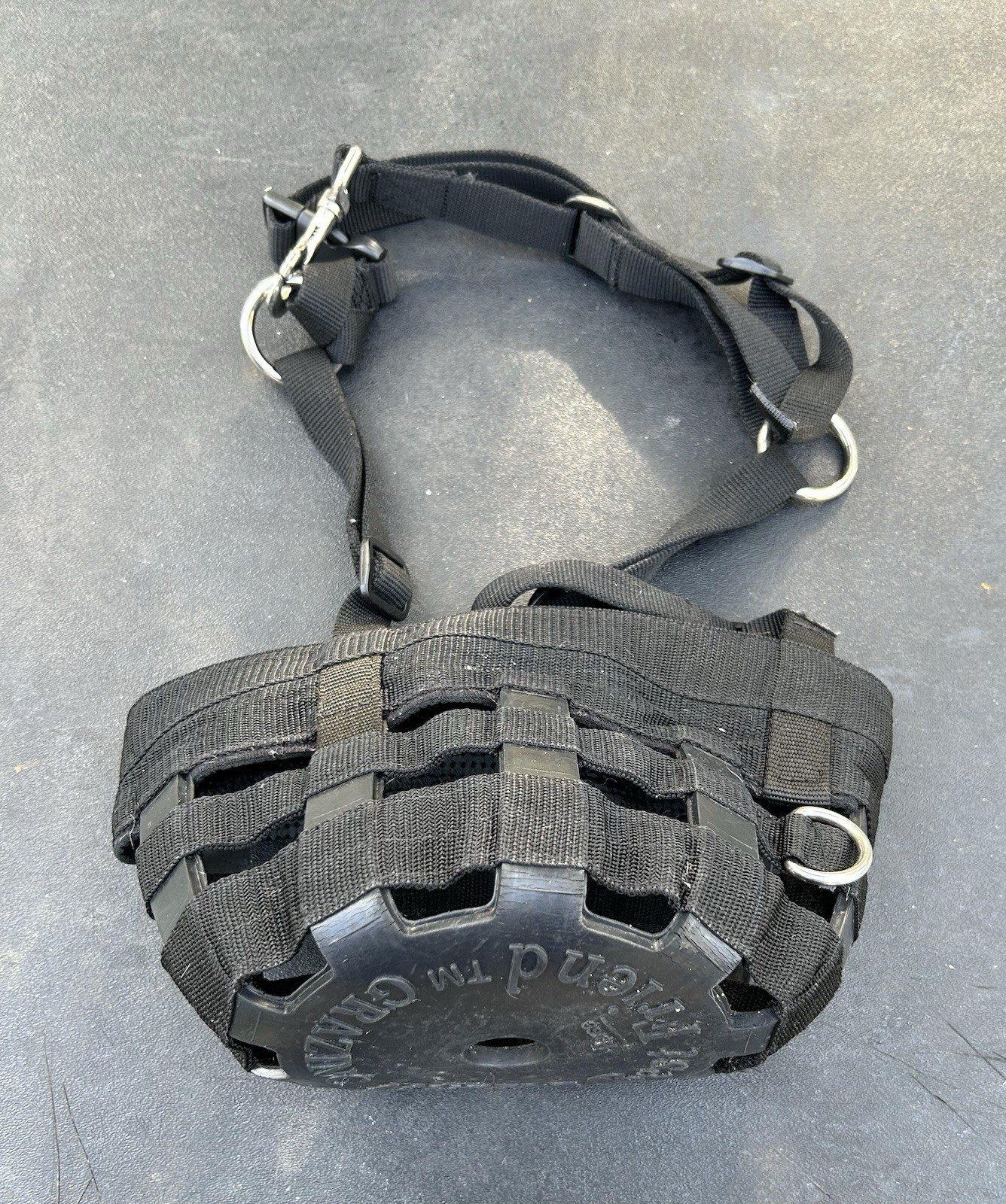 Best Friend Horse Equine Grazing Muzzle for Easy Breathe, Comfortable Nylon