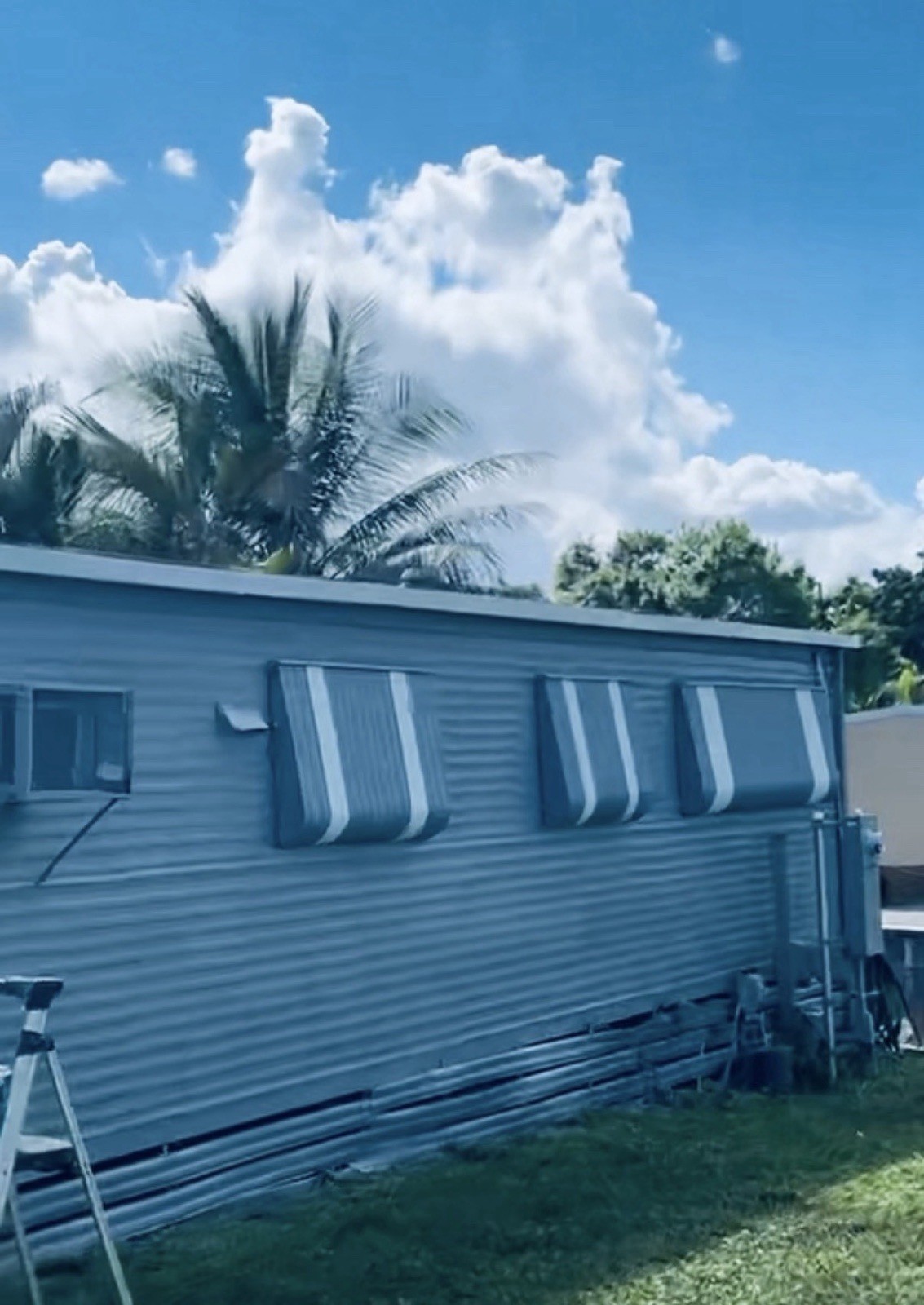 Mobile Home 1962 2/1 for Sale In Davie Florida